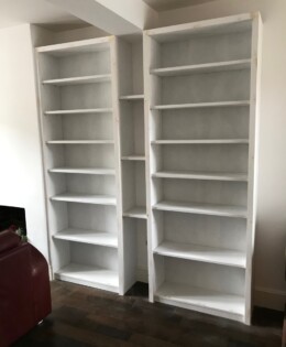 Double Bookcases